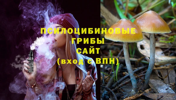 крисы Белоозёрский