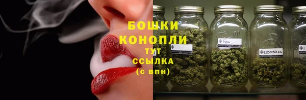 крисы Белоозёрский