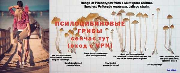 крисы Белоозёрский