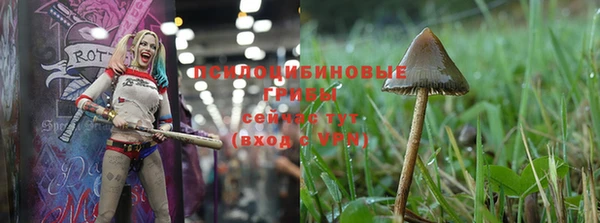 прущий лед Беломорск