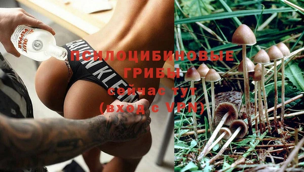 крисы Белоозёрский