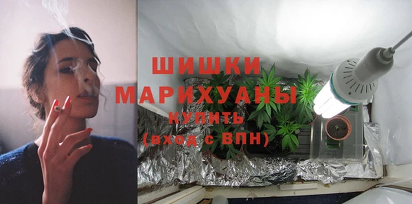 PSILOCYBIN Богородск